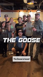 1.5K views · 27 reactions | The Goose is loose!  Spruce Goose is back, brewed with hand-picked spruce tips from the San Juan National Forest and packing a festive punch. Perfect for the holiday table—or maybe not too perfect if Grandpa’s involved. 凜 On tap today, available in 4-packs of 16oz cans, and for Growler fills! #SteamworksBrewing #SpruceGoose #CraftBeer #DurangoColorado | Steamworks Brewing Company | Facebook