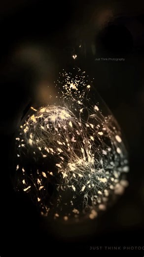 #reels #nikon #photography #Popular#electric#beauty Just Think Photography (c)💥 | Donna L Roosa