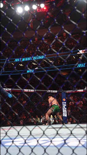 UFC 317: Ilia Topuria vs Charles Oliveira Highlights