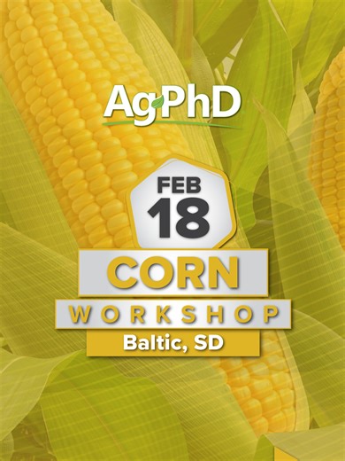 Corn Workshop – Baltic, SD Tuesday, February 18th | 10 am – 3 pm We’ll help you navigate all the challenges in your corn fields, including exploding corn rootworm populations, disease resistance to fungicides, new diseases like tar spot and old ones like southern rust, weed pressures that feel uncontrollable now that Roundup doesn’t work well and you may be cutting back on dicamba to avoid drift issues, and fertility costs that make some farmers want to cut back somehow, someway.