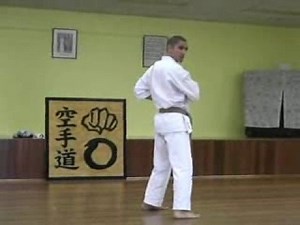 Black belt karate test standards