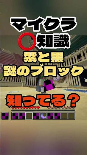 【マイクラ️⭕️知識】紫と黒の謎のブロックなんだか知ってる？【Minecraft/minecraft/まいくら】