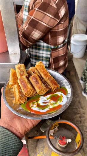 @vinufoodies on Instagram: "Roadside spring roll 🌯😍😋 . . . . #springroll #samosa #foodie #springrolls #smallchops #food #delicious #puffpuff #healthyfood #salad #foodporn #instafood #foodstagram #homemade #dinner #halal #instagood #chinesefood #makanansehat #vietnamspringroll #foodphotography #yummy #asianfood #foodlover #saladsayur #foodblogger #coffee #g #kulinerbandung #cheese"