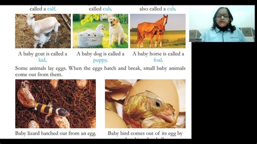 SCIENCE-1 | CHAPTER-8