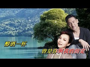醇酒醉影 張學友‧陳潔儀〈歌手演唱 HD版〉