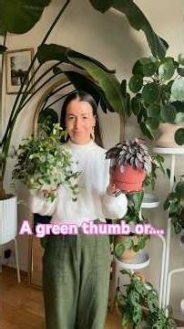 Even a green thumb is not impervious to life’s seasons | My Favourite Houseplants vs...