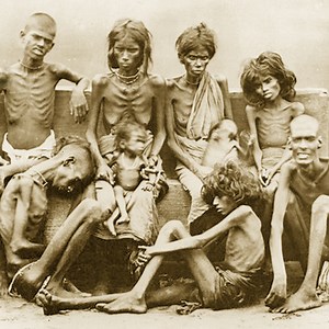 Understanding Starvation Death | Causes, Effects & Prevention