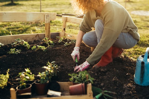 Registration open for Missouri Master Gardener online training