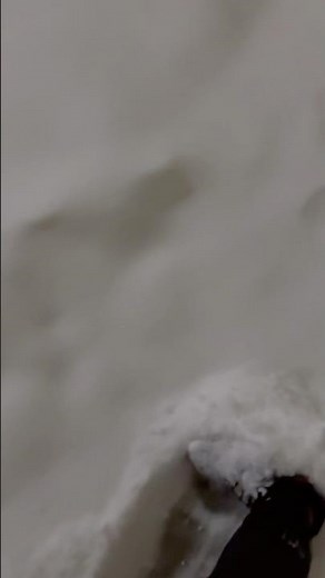 Snow Falling Right Now in Kansas | Weather Update #snowday #kansassnow #kansasday #explorekansas