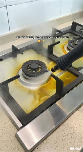 Steam Cleaner Tips for a Sparkling Clean Home