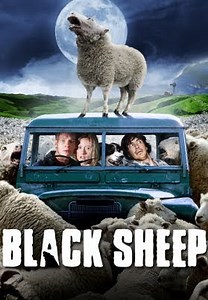 Black Sheep
