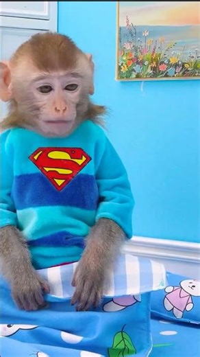 Monkey Baby #fun #funny #funnymonkey #minkeys #babymonkey #trynottolaugh #abc #kids #baby #animals