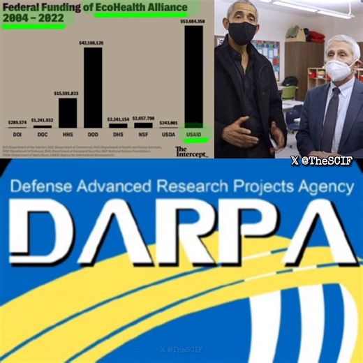 $44 MILLION of FAUCI's NIAID and USAID was sent to the Wuhan lab for gain-of-function research, aka, BIOWEAPON development.This was around the time Obama secretly moved Fauci's covid project overseas after 300 scientists wrote to Obama to stop Fauci's dangerous viral research because of a previous dangerous lab leak.Over $53 MILLION of federal funding USAID, taxpayer dollars, went to EcoHealth Alliance between 2004-2022. This is how long these projects have been in development along with numerou