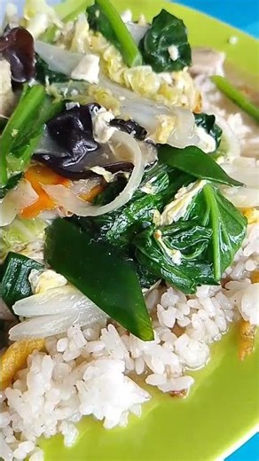 nasi cap cay ayam