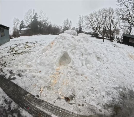 mr_snow_guy (@mr_snow_guy)’s videos with original sound - mr_snow_guy