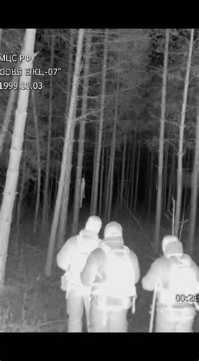 Russian Rescuers Filmed THIS in the Forest... 😱🌲🚒