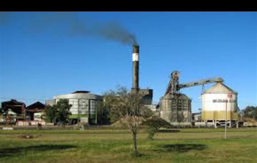 8.1K views · 30 reactions | LIQUID FEED molasses, a is a nutrient-rich sweetener that can be consumed by humans, livestock offering potential health benefits. It's a good source of iron, calcium, magnesium, potassium, manganese, vitamin B6, and selenium, all of which are important for Agriculture , Fartilizers, farming , Dairy , poultry, , Ext | Super Molasses | Facebook