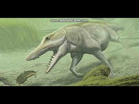 Pakicetus and Ambulocetus sounds