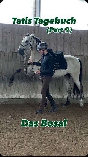 Eintrag Nr. 9 📝 Heute ging’s ums Training am Bosal. Tati läuft inzwischen richtig schön auf der Hackamore – der Weg dorthin war (und ist) nicht einfach, aber endlich hab ich das Gefühl wir machen Fortschritt und haben die richtige Zäumung für jetzt gerade gefunden.🙏😍🥵🥳 Wir arbeiten aktuell am spanischen Schritt, da dürfte er hinten noch ein bisschen mehr mitkommen. An Übergängen innerhalb des Trabes in der Handarbeit und an der Durchlässigkeit über Seitengänge im Sattel. Besonders im Trab m