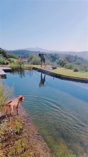 Nice neh #tiktoksa #wonderingwhy