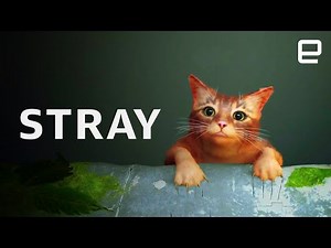 Stray review: A cute and contained cyberpunk adventure