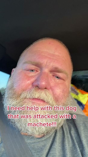 Heavy’s H.E.A.R.T. (@heavysheart)’s videos with original sound - Heavy’s H.E.A.R.T.