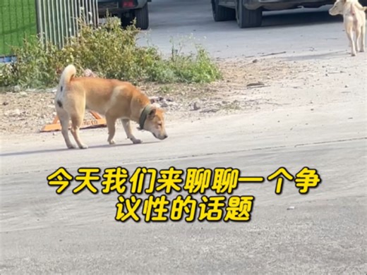 理性思考，到底该不该吃？