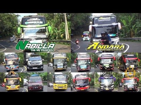 Mobil Bus Telolet Andara, Nabilla, Mario Bros, Black Eagle, Big Benz, Natasha, Blue Shark, Valenza