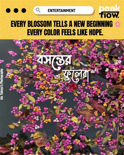 Peak Flow on Instagram: "Spring feels like a fresh start wrapped in petals and sunshine 🌼💛 Note: This video was collected from Takoya's Photography #springvibes #peakflow #peakflowbd"