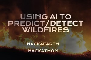 Using AI to Predict/Detect Wildfires