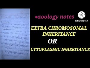 EXTRA CHROMOSOMAL INHERITANCE OR CYTOPLASMIC INHERITANCE |HINDI EXPLAINATION #cytoplasmicinheritance