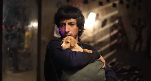 'Lakadbaggha' trailer out! The animal lover vigilante film looks promising