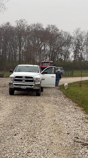 So we have a had a run of things that are not ideal but God has truly been watching out for me…. This tractor was a special deal that was a GIANT discount because it was used for the fair. We were able to get this amazing machine from Tractor Supply F&H in Moscow Mills. | Walker Family Farms