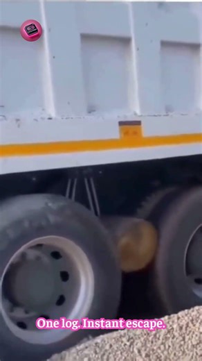 ONE LOG SAND ESCAPE HACK — instant traction recovery without towing #SurvivalTip