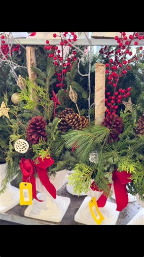 2.3K views · 19 shares | ✨ Christmas is blooming at Shop & Save...