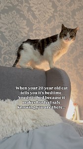 How did I get so lucky with Lola… She truly is amazing. Even though she is 20 she is a cat of habit and seems to be very accurate on her perception of time. Knowing when it’s time for her medicine she will remind me if it’s not on time and also when it’s time for us both to rest. I keep telling her she shouldn’t be jumping on the headboard at her age but she insists, keeping with our daily structure. Something that is really precious is her ability to slow me down. She knows when I need to rest 