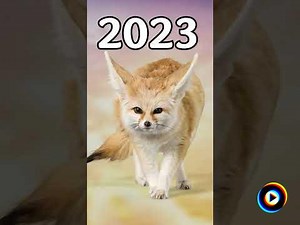 The Lampies Theme Tune ('La la la la, It's The Lampies) by The Lampies