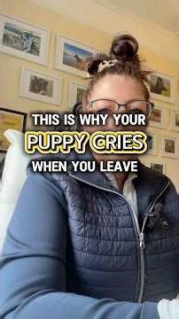 Why Your Puppy Cries When You Leave the Room (It’s Not What You Think)