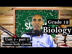 Grade 12 Biology Unit 5 part-5 Human body system
