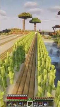 ทำฟาร์มข้าวใหม่เหมือนกัน #minecraft #shorts