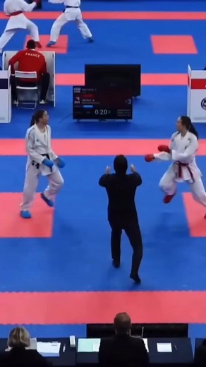 Powerful Karate Kumite Knockouts Compilation