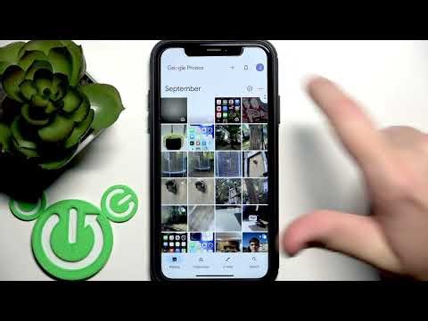 Where is the Library in Google Photos