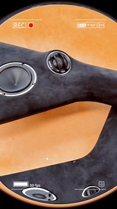 144 reactions · 3 comments | Luis Loud on Reels | Facebook