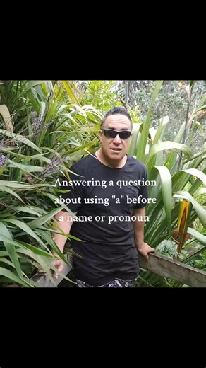 18K views · 345 reactions | Te Reo Maori Another question that came up after one of our quizzes: Why do we sometimes use ‘a’ before a name or pronoun in Te Reo Māori? Check out this quick video hope it helps Ngā mihi for your questions Whānau  I hope the sound is ok, I need to invest in a microphone it's on my list. #TeReoMāori #Ako #ReoTips #WhānauLearning | Rangi's Reo | Facebook