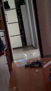 Earthquake Rattles Fifth Floor Apartment