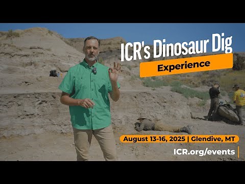 The ICR Dino Dig Experience 2025