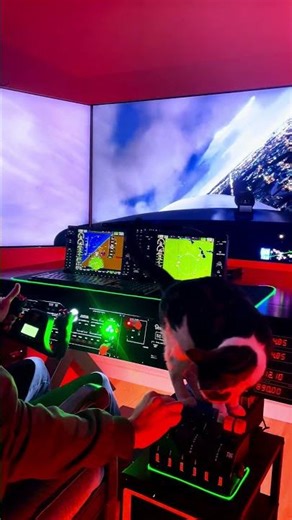 🙀 FLYING WITH MY CAT OVER BERLIN #pilot #aviation #cat #simulator #pet #stunt #landing #fs22 #fs24