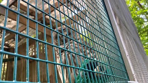 Cascades Raptor Center taking extra precautions to prevent bird flu