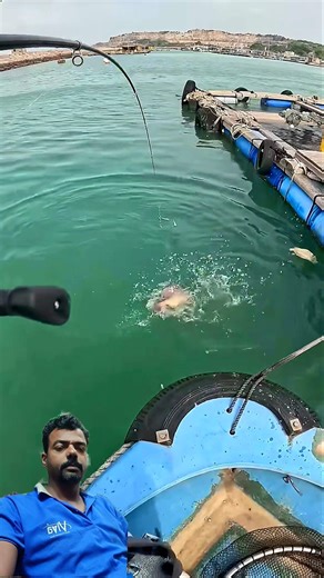 Kanama Smart Bait Mini-Revive Your litter Dead Baitfish🎣😎 #fishing #fish #shorts