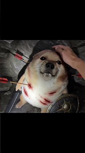 Pipilabu ! #shortvideo #short #viral